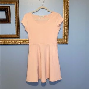 Pink Rose Skater Dress